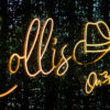 IMG_9782 | Beachmonkey Orange neon cursive sign glowing against a dark leafy background, close-up.