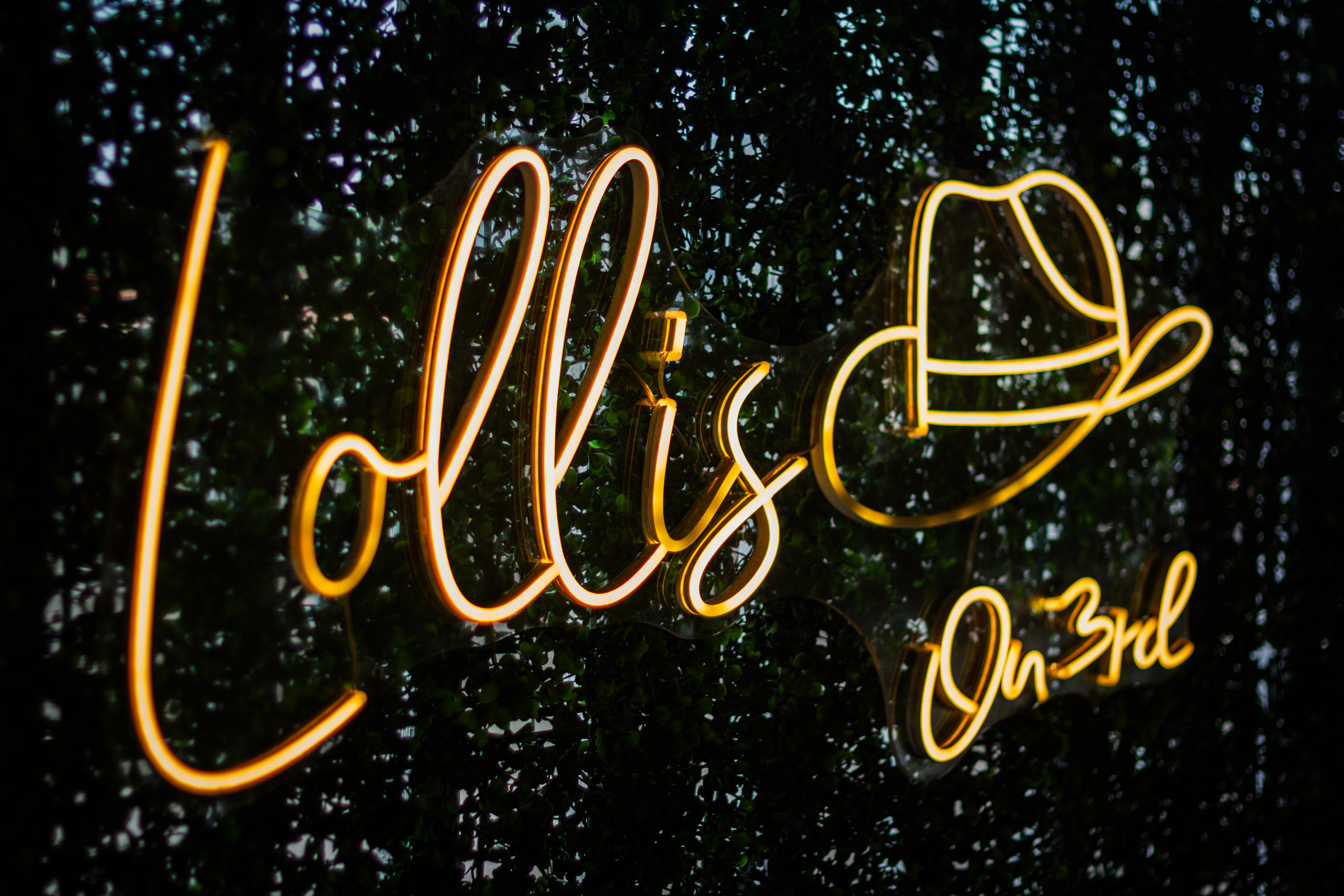 Orange neon cursive sign glowing against a dark leafy background, close-up.